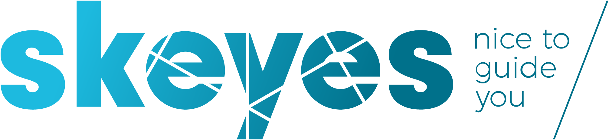 Logo_Skeyes.png